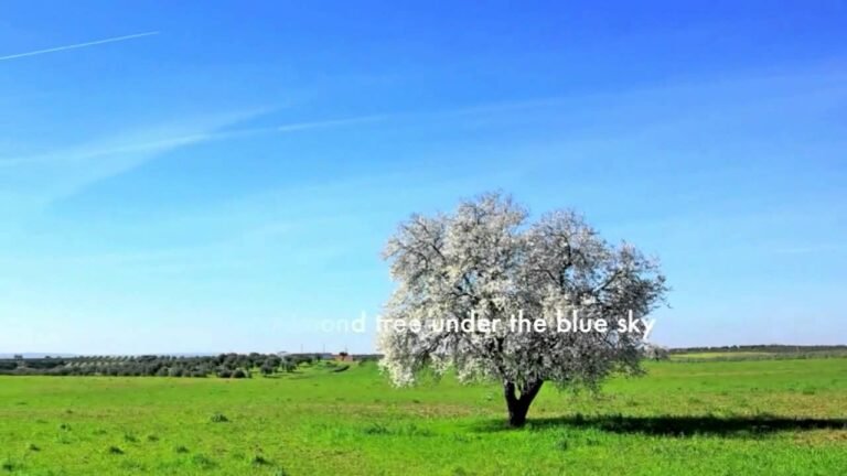 Golden Residence Permit of Portugal – European Passport – The Weather