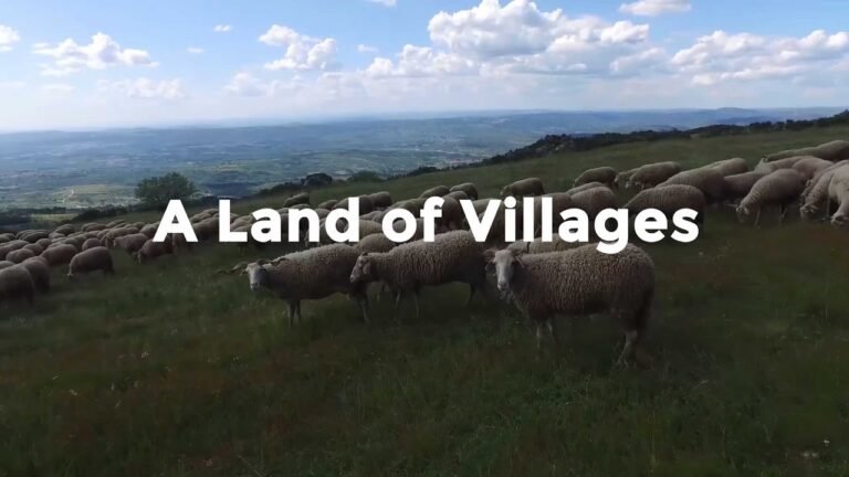A Taste of Portugal | A Land of Villages A Taste of Portugal | A Land of Villages