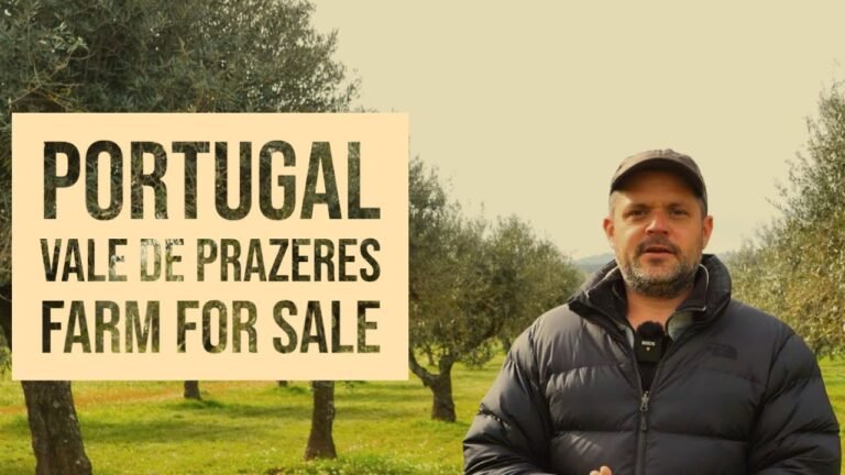 FARM FOR SALE – Vale de Prazeres, Fundão, Central Portugal, VIRTUAL PROPERTY TOUR