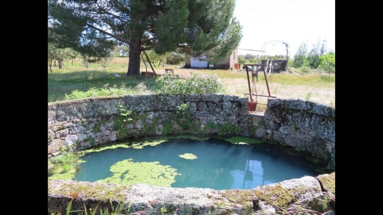 Farm for sale in Central south of Portugal with 4,2 ha / € 67.500 / centralportugalnatural@gmail.com Farm for sale in Central south of Portugal with 4,2 ha / € 67.500 / centralportugalnatural@gmail.com