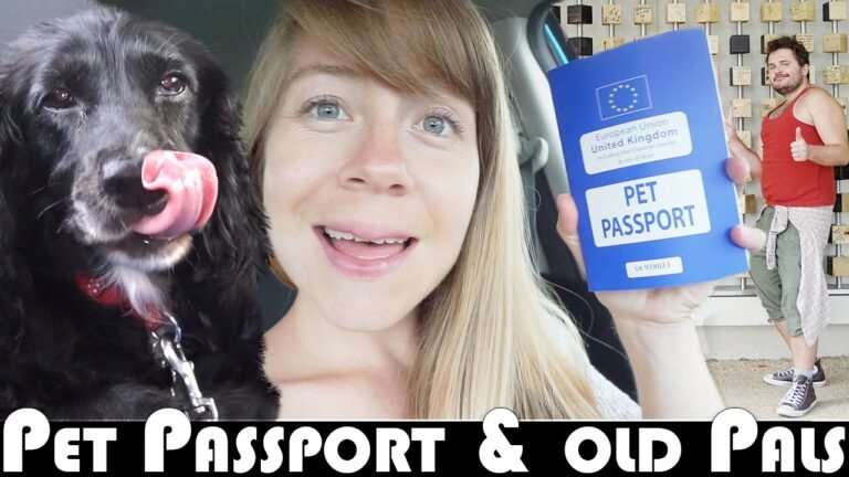 GETTING A PET PASSPORT & OLD PALS! – MOVING TO PORTUGAL DAILY VLOG (ADITL EP393)