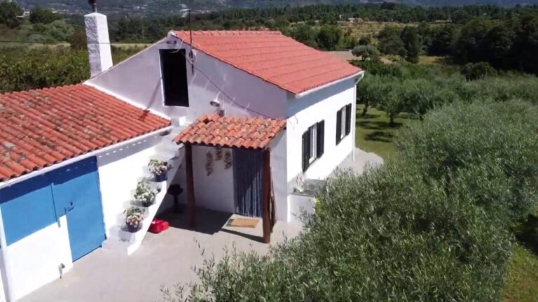 Organic Farm for sale in central South of Portugal with a renovated House / € 89.999