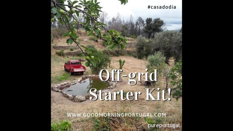Portuguese Property: Off-Grid Starter Pack, Carregal do Sal, Viseu, Portugal