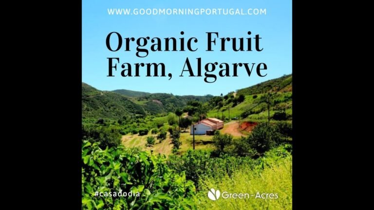 Portuguese Property: Organic Fruit Farm, Monchique, Algarve, Portugal