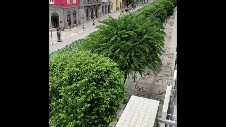 Visa and Residency in Portugal