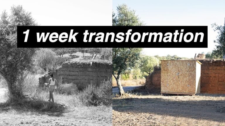 We Bought Land to Build a Cabin in Portugal | First Week Transformation