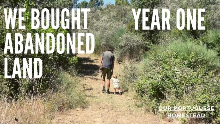 We bought abandoned land and this is what happened – Year One – Our Portuguese Homestead