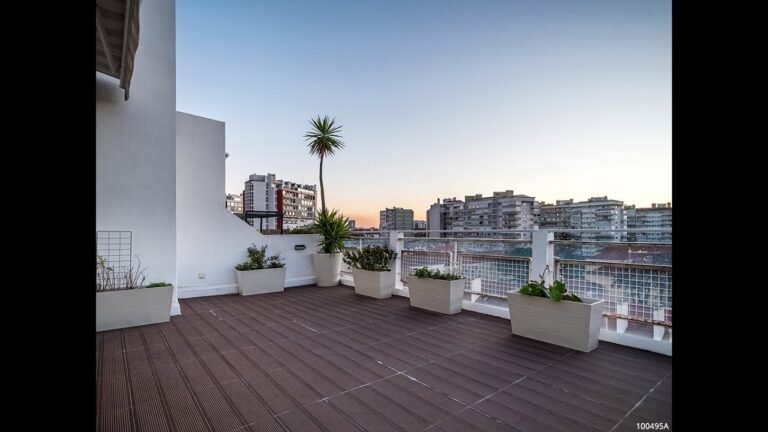 Apartamento T1 para arrendamento, situado em plena Av. de Roma, com terraço