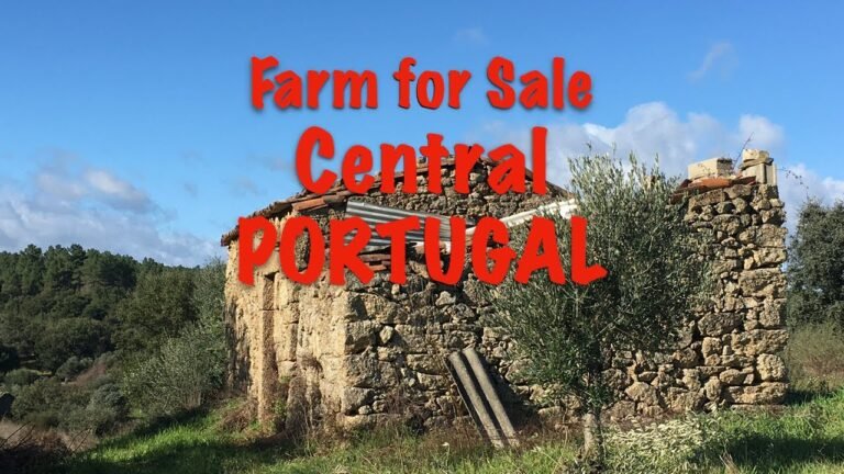 Farm for Sale in Central PORTUGAL Farm for Sale in Central PORTUGAL
