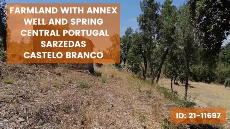 Farmland with Annex, two Wells and Spring – Central Portugal – Sarzedas – Castelo Branco | € 19.000