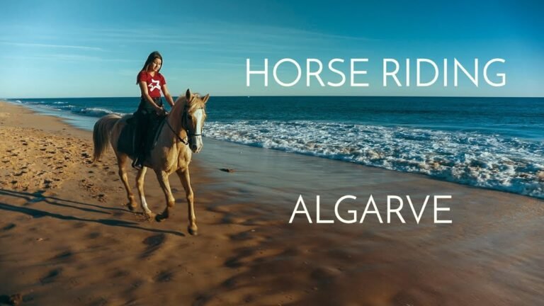 Horse Riding Algarve on the Beach | Portugal | Lusitano Horses