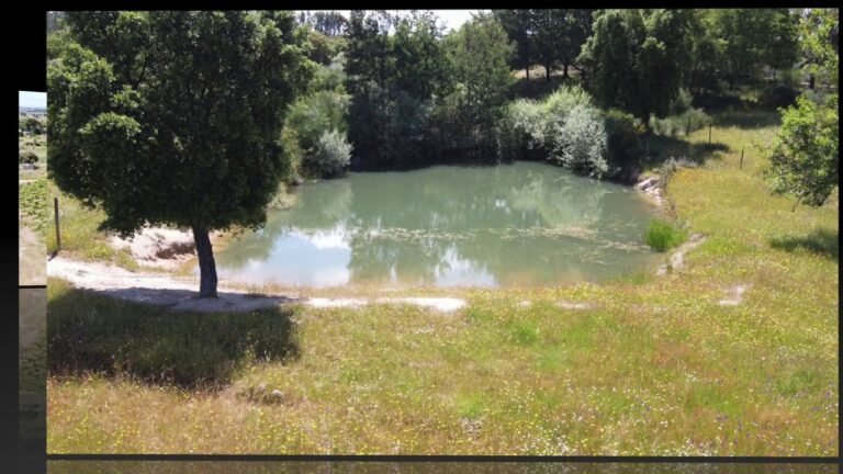 LAND WITH 16HA AND 2 LAKES FOR SALE IN CENTRAL SOUTH OF PORTUGAL / € 157.500