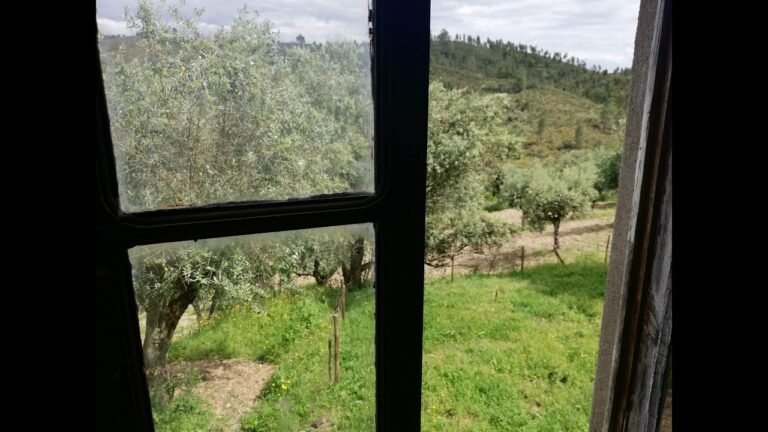 Project to rebuild – 2 houses – Central Portugal – 12.000€ Project to rebuild – 2 houses – Central Portugal – 12.000€
