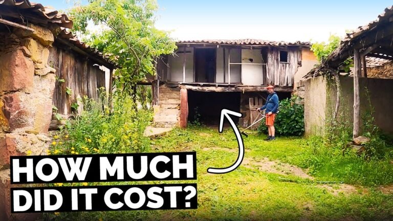 We Bought AN ABANDONED FARM IN PORTUGAL + 36600ft2 of LAND! + Other costs | Ep.02 We Bought AN ABANDONED FARM IN PORTUGAL + 36600ft2 of LAND! + Other costs | Ep.02