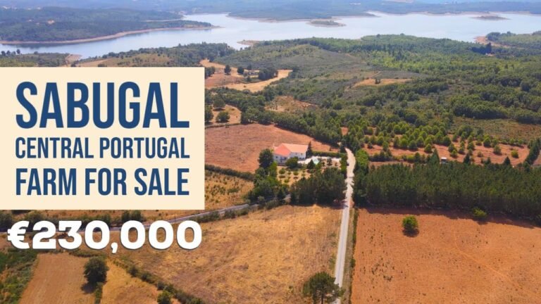 3.5 HECTARE FARMHOUSE FOR SALE | Sabugal, Central Portugal | VIRTUAL PROPERTY TOUR ☀❤