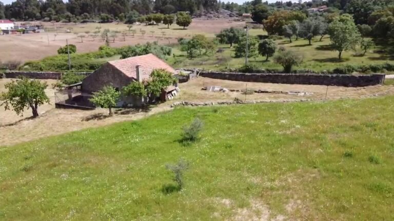 Farm land with 8.840sqm + Stone building for sale in Portugal in central south/ € 72.500
