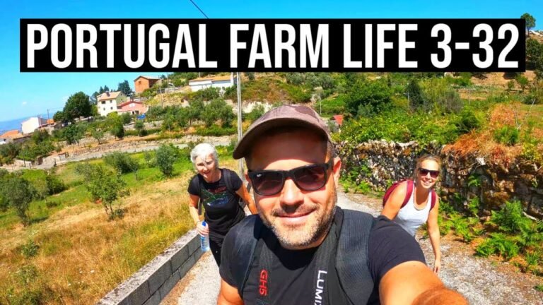 Life, Tragedy and New Beginnings ❤ | PORTUGAL FARM LIFE S3-E32 ☀️