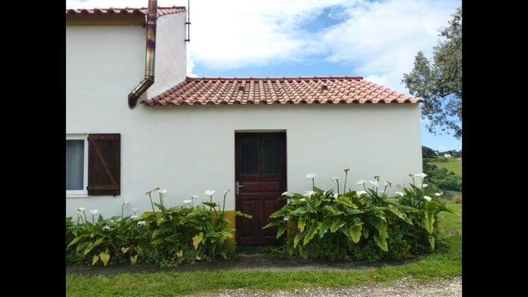 Living in Portugal Restoration of the Oldest Building on My Property