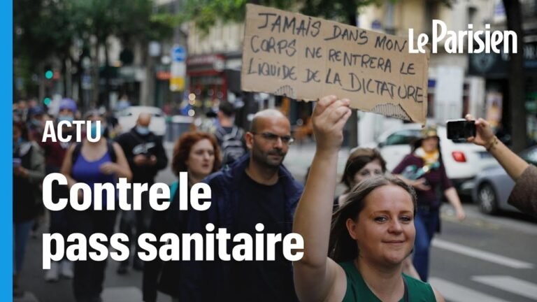 Manifestation contre le pass sanitaire à Paris : "Cela pose un problème pour nos libertés"