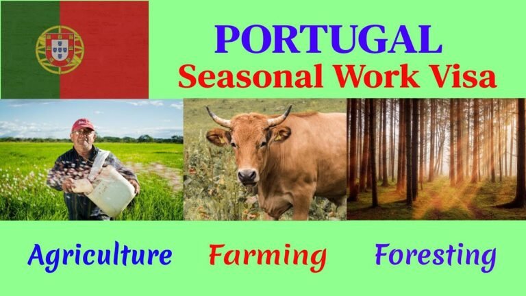 Portugal: Seasonal Work Visa without Degree and Experience