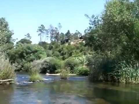 Property for Sale in Central Portugal, with farming land, fruit and nut trees