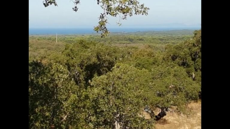 Real Estate Melides Portugal – Land with Sea Views