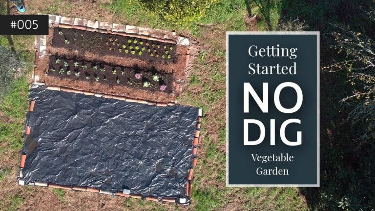 Starting a No Dig Veg Garden in Portugal – Episode 005