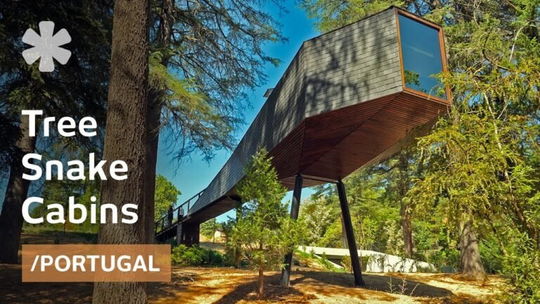 Tree Snake tiny homes defy gravity at Portuguese vintage spa