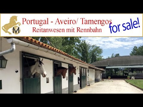 for sale: Portugal, Aveiro, Curia, equestrian property, horsestables, Reitimmobilie, Reitstall