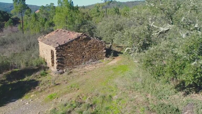 property for sale in Galdins, Portugal – lng26-2