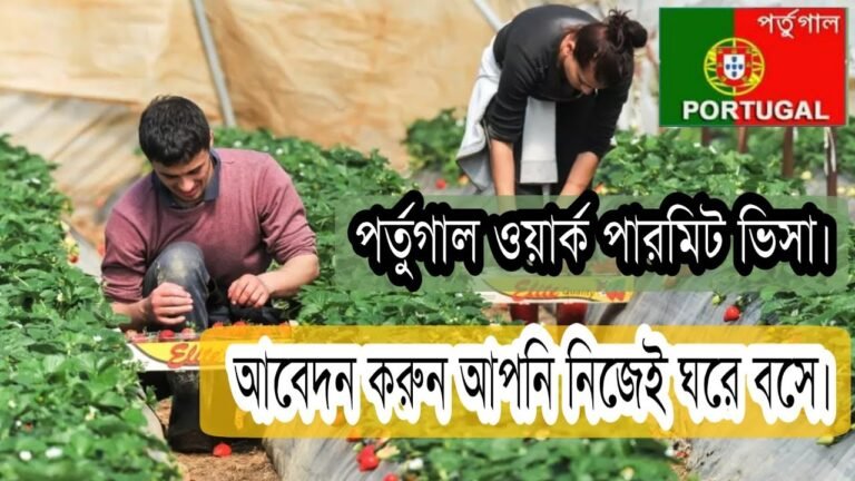 পর্তুগাল ওয়ার্ক পারমিট ভিসার আবেদন করুন আপনি নিজেই || How to apply Portugal agriculture visa Part 2