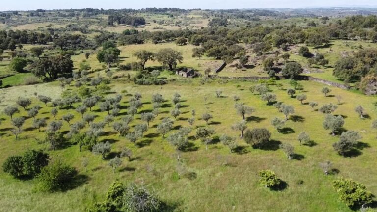 Buy a Property in central south of Portugal / Farm with 6.2ha + 4 Stone buildings / € 128.500
