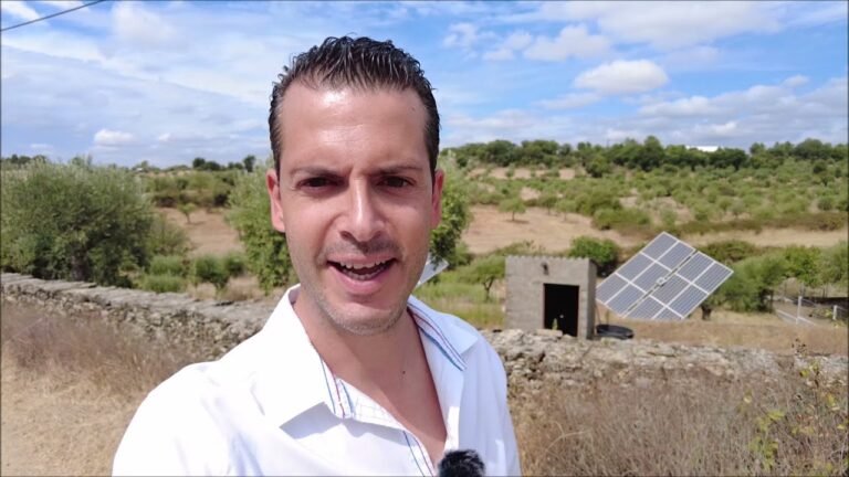 Farm for sale | Central Portugal – 2060 Sqm – 31.000€ Farm for sale | Central Portugal – 2060 Sqm – 31.000€