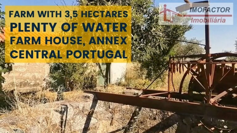 Farm with 3,5 Hectares, Plenty of Water, Farm House, Annex / Central Portugal | € 70.000