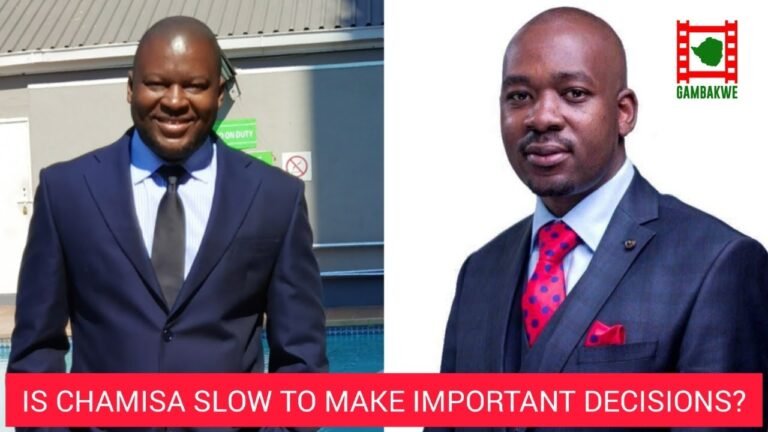 Is Chamisa slow to make important decisions? – Guest : Dr Feddious Mutenheri