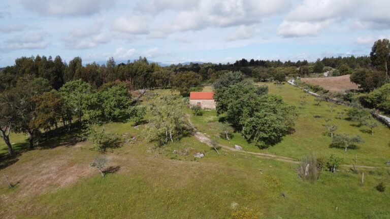 Land for sale in Central South of Portugal with 1ha / €64.500 / centralportugalnatural@gmail.com