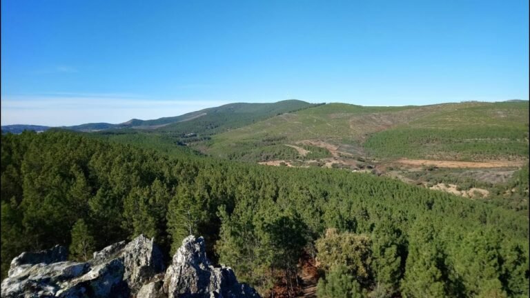 OFF-GRID FARM For Sale PORTUGAL Gravity Spring, Organic Lifestyle! Retreat! Protected National Park