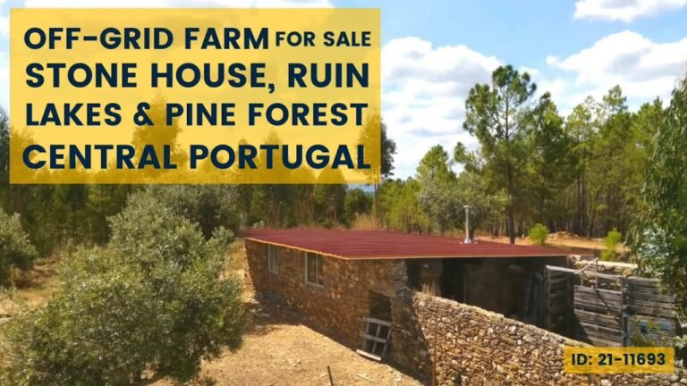 Off Grid Farm for Sale, with Stone House, Caravan House, Ruin, 4 Lakes and Pine forest | € 80000