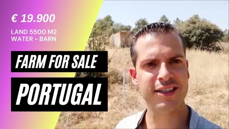 Portuguese farm for sale – 5.500 m2 – 19.990€ – Central Portugal Real Estate