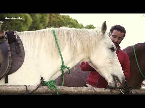 Vizinhos da Reserva Alecrim | Passeios de Melides a Cavalo