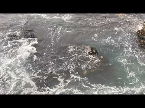 on the beach of Porto in Portugal on the Atlantic Ocean