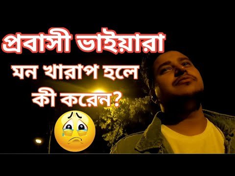 প্রবাসীদের কষ্ট কেউ বুঝে নাহ! হায়রে বিদেশ! @Travel With Hasan