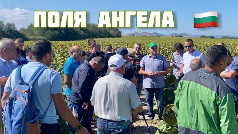 10-польный севооборот Ангела Вукодинова