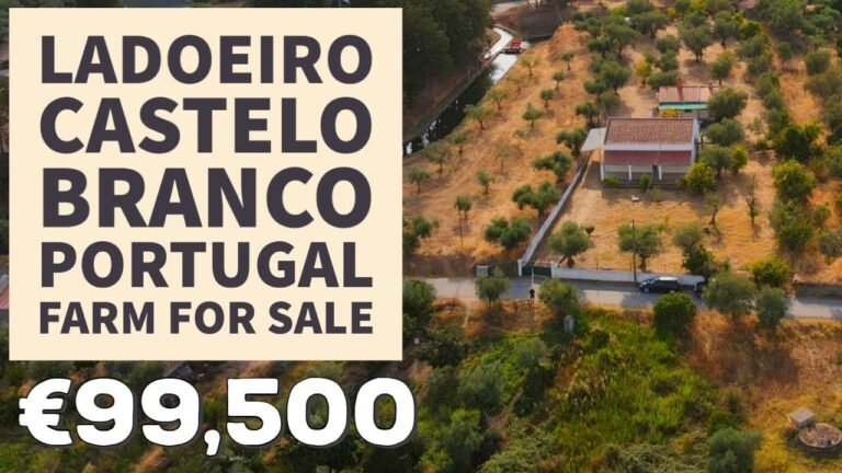 3 Bedroom Farm House For Sale | Ladoeiro, Central Portugal | VIRTUAL PROPERTY TOUR ☀