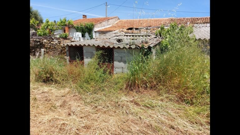 3. First look at our farm in Portugal