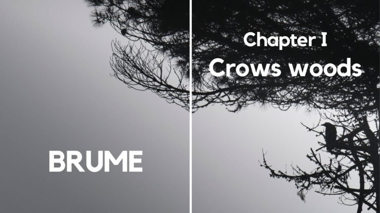 BRUME | Chapter I | Exploring the foggy woodlands of Portugal | GIVEAWAY!!!