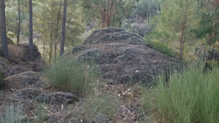 Exploring a property for sale in Portugal