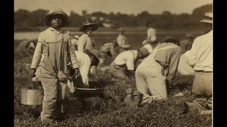 Forgotten Histories : Stories of Portuguese & Cape Verdean Immigrants, How They Shaped the Cape