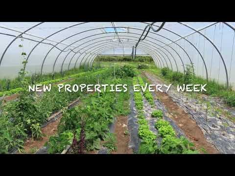 Green House Farm with  28.250m2, and a Stone Cottage  in Castelo Branco // PRICE : 49.999,00€