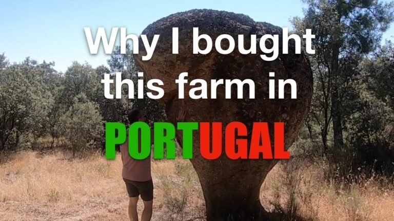 Journey to buying a FARM in Portugal: Part 20 (Why this particular farm?) Journey to buying a FARM in Portugal: Part 20 (Why this particular farm?)